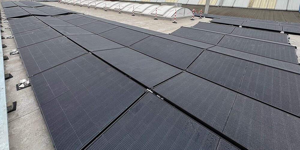 Montierte Solarmodule in Reihen auf der Dachfläche des GHH-Werks